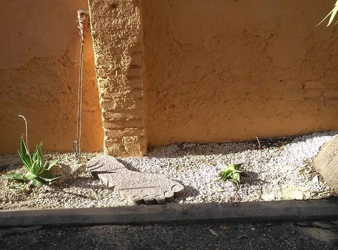 לינה וארוחת בוקר Tucci's